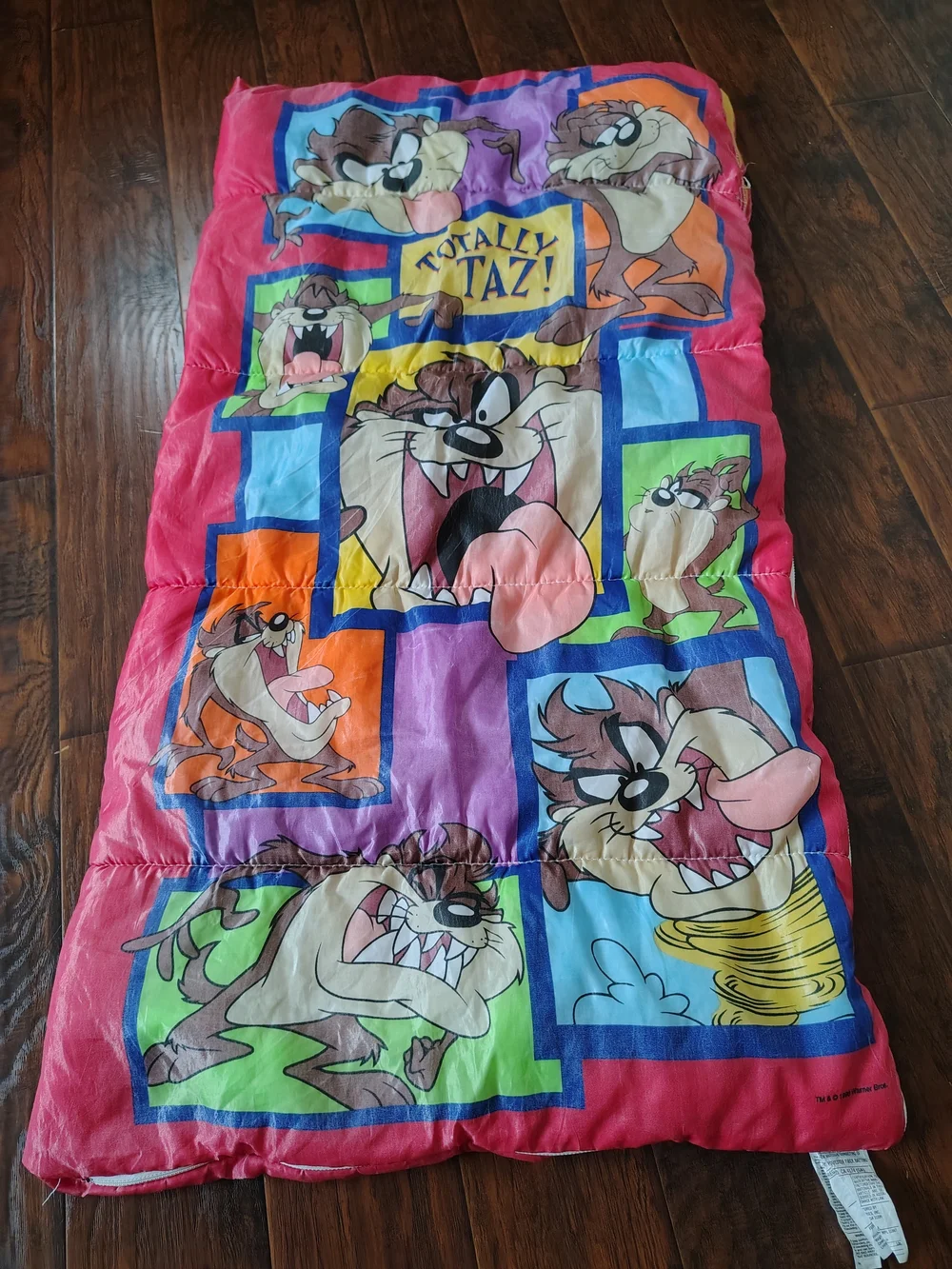Vintage 90s Warner Brothers Totally Taz sleeping bag